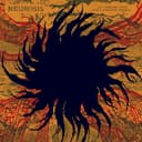 An Undying Love for a Burning World, verified listen and review