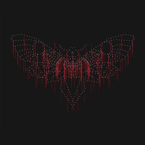 Moth