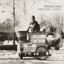 Pretzel Logic