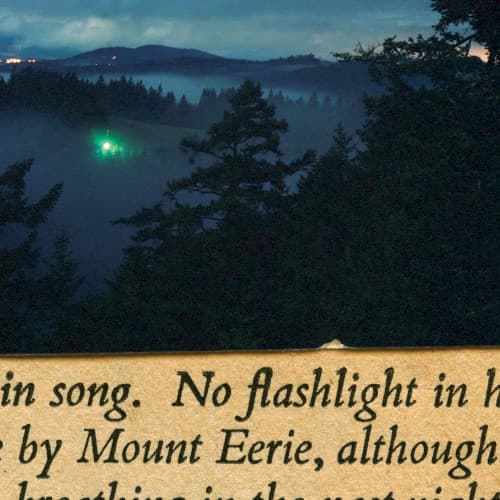 No Flashlight cover